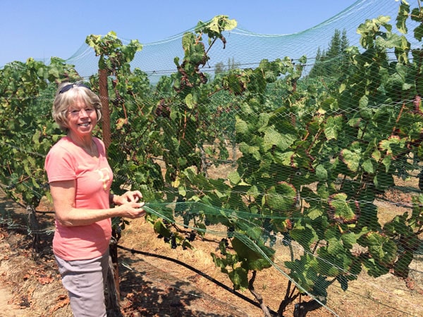 Martha in vineyard
