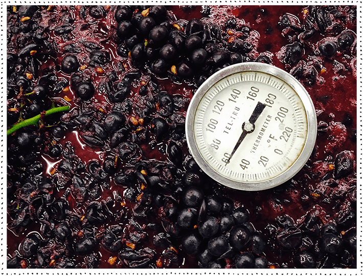 Thermometer in grapes
