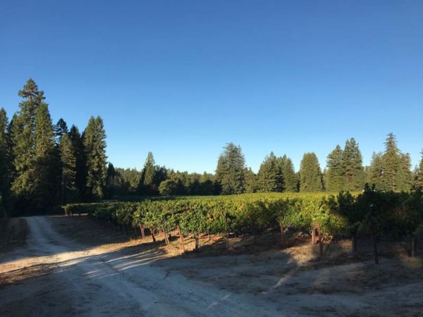 Campbell Ranch · Bannister Wines