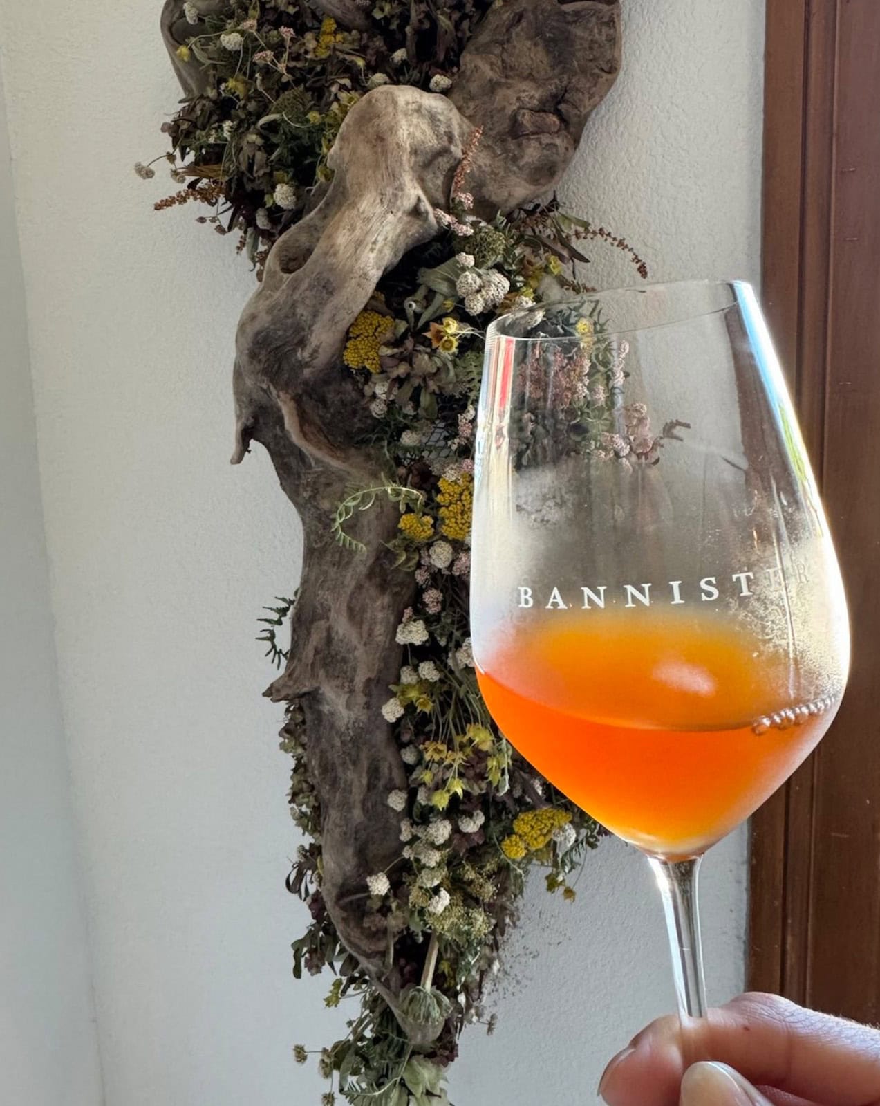 The story of skin contact wine (PG 13 version)